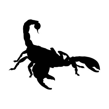 Akrep silueti - vektör çizimi. Vektör illüstrasyonu