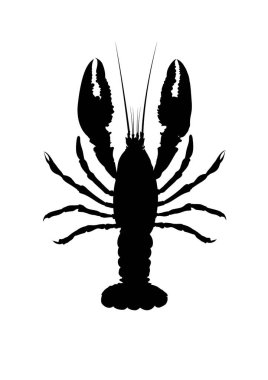 ıstakoz silueti - basit vektör çizimi . 