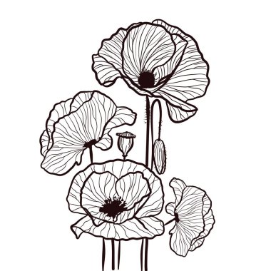 El yapımı haşhaş. Vektör illüstrasyonu