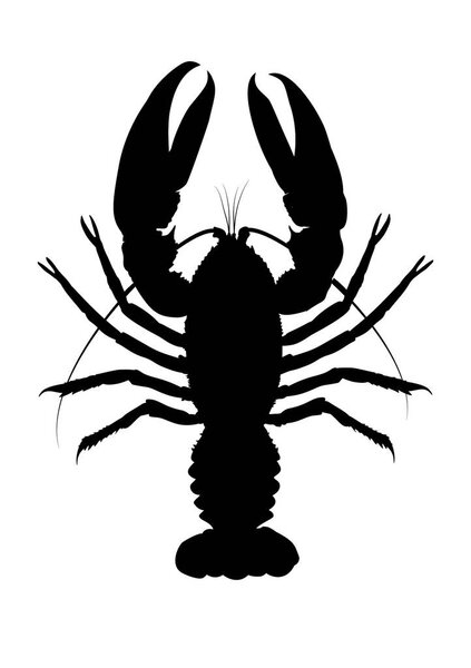 Силуэт омаров - простая векторная иллюстрация . 