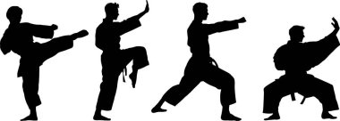 Dövüş Sanatı, Karate Savaşçısının Silueti