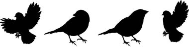 Dört siyah kuş silueti ayakta ve uçuyor