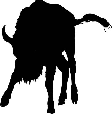 Beyaz arkaplanda boğa silueti simgesi, vektör illüstrasyonu