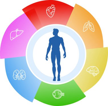 sağlıklı vücut konsepti, web simgesi basit illüstrasyon