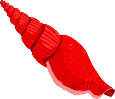 Beyaz arkaplanda izole edilmiş parlak kırmızı spiral deniz kabuğu