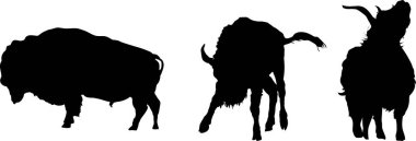 Otlayan bufalo, boğa ve keçi siluetleri.