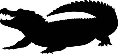 Beyaz arkaplanda siyah timsah silueti.