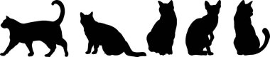Kedi siluetleri, vektör illüstrasyonu