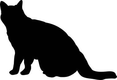 Beyaz arkaplanda izole edilmiş kedinin siyah silueti, vektör illüstrasyonu