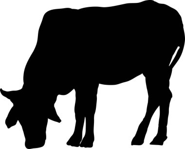 İnek simgesi beyaz arka plan üzerinde 