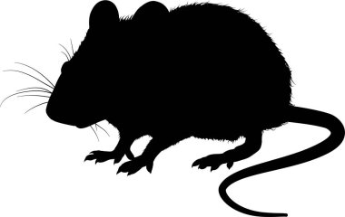 siyah fare silueti. vektör illüstrasyonu.