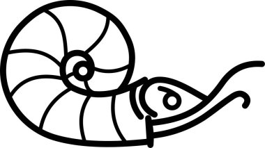 Nautilus kabuğunun basit siyah çizimi