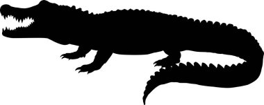 Yanlamasına yürüyen büyük timsah silueti.