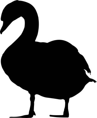 Kuğu beyaz arka planda siyah, illüstrasyon vektör