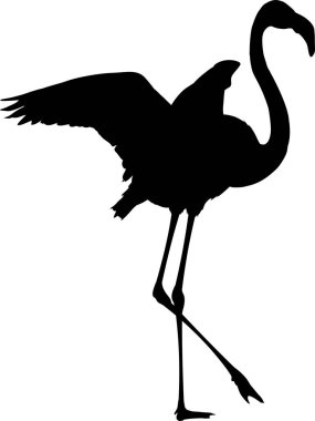 Beyaz arkaplanda siyah siluet flamingo, vektör illüstrasyonu