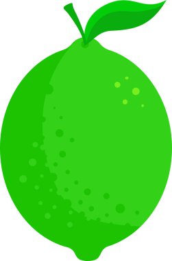 Beyaz arkaplanda yeşil kireç, vektör illüstrasyonu