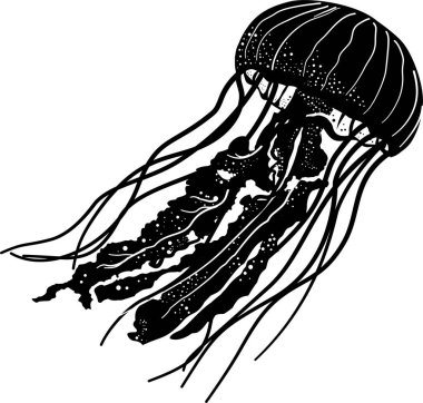 denizanası siyah-beyaz çizimi