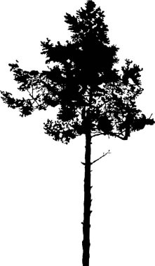 Bir ağacın silueti. vektör illüstrasyonu