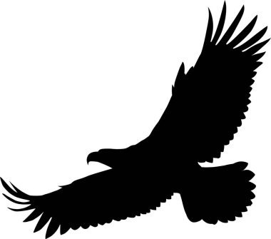 Kartal Amblemi, Şık Logo ve Kuş, Vektör İllüstrasyonu