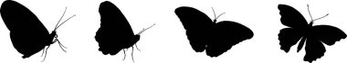 Yatay olarak uçan dört siyah kelebek silueti