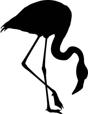 Beyaz arkaplanda flamingonun siyah silueti, vektör illüstrasyonu