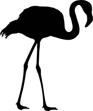 Beyaz arkaplanda flamingonun siyah silueti, vektör illüstrasyonu