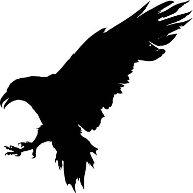 Beyaz arkaplanda siyah kartal silueti, vektör illüstrasyonu