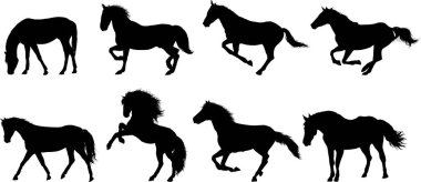 Siyah atlar silueti, beyaz arkaplanda vektör 
