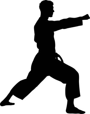 Dövüş Sanatı, Karate Savaşçısının Silueti