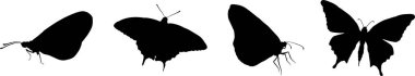 Siyah kelebek siluetleri farklı kanat pozisyonlarını gösteriyor
