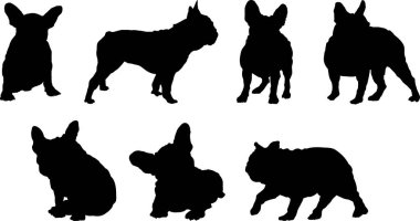 Bulldog evcil hayvanlarının siyah siluetleri, vektör illüstrasyonu