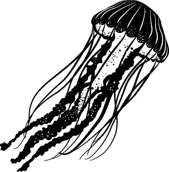 Uzun kolları gösteren siyah denizanası çizimi