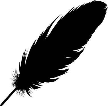 Beyaz arkaplan çiziminde tüy silueti