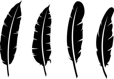 siyah ve beyaz tüy. vektör illüstrasyon kümesi