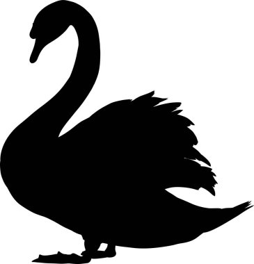 Kuğu beyaz arka planda siyah, illüstrasyon vektör