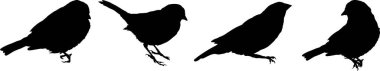 Dört küçük kuş silueti yan yana duruyor.