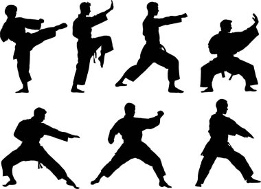 Dövüş Sanatı, Karate Savaşçısının Silueti