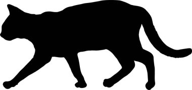 Beyaz arkaplanda izole edilmiş kedinin siyah silueti, vektör illüstrasyonu