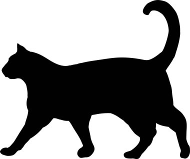 Beyaz arkaplanda izole edilmiş kedinin siyah silueti, vektör illüstrasyonu