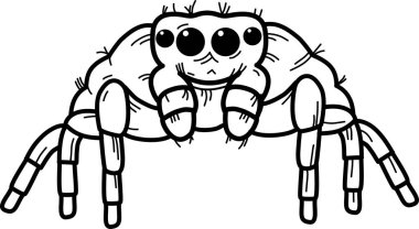 büyük gözlü çizgi film örümceği, vektör çizimi