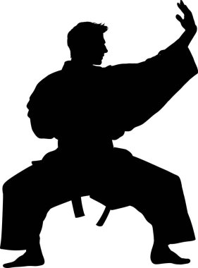 Dövüş Sanatı, Karate Savaşçısının Silueti