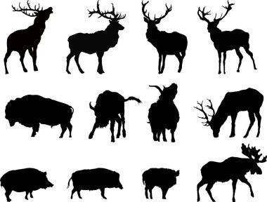 geyik siyah silueti, beyaz arkaplanda vektör çizimi 