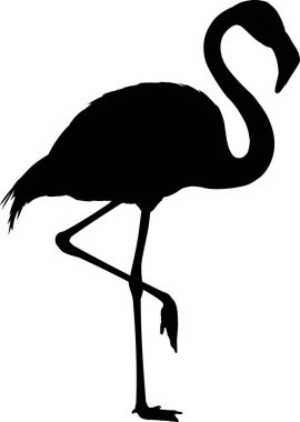 Beyaz arkaplanda flamingonun siyah silueti, vektör illüstrasyonu