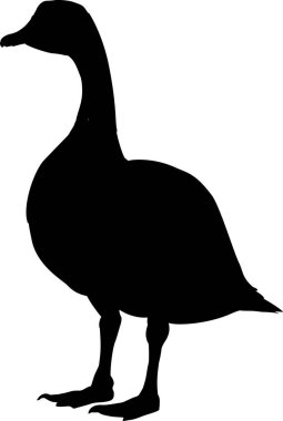 Sola bakan kazın silueti