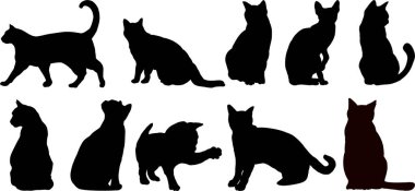 kedilerin vektör siluetleri, vektör illüstrasyonu