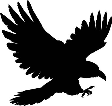 Kartal kuşunun düz vektör görüntüsü