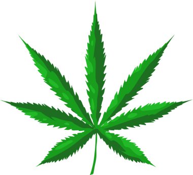 esrar yeşil yaprak simgesi, vektör illüstrasyonu