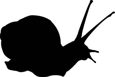 siyah salyangoz silueti, vektör çizimi