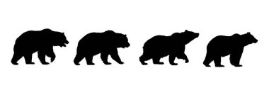 Farklı pozlar ve yürüyüşler gösteren dört siyah ayı silueti. 