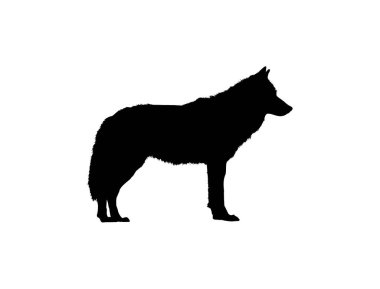 Siyah bir kurt ya da köpek silueti beyaz bir arka planda yan profilde duruyor..